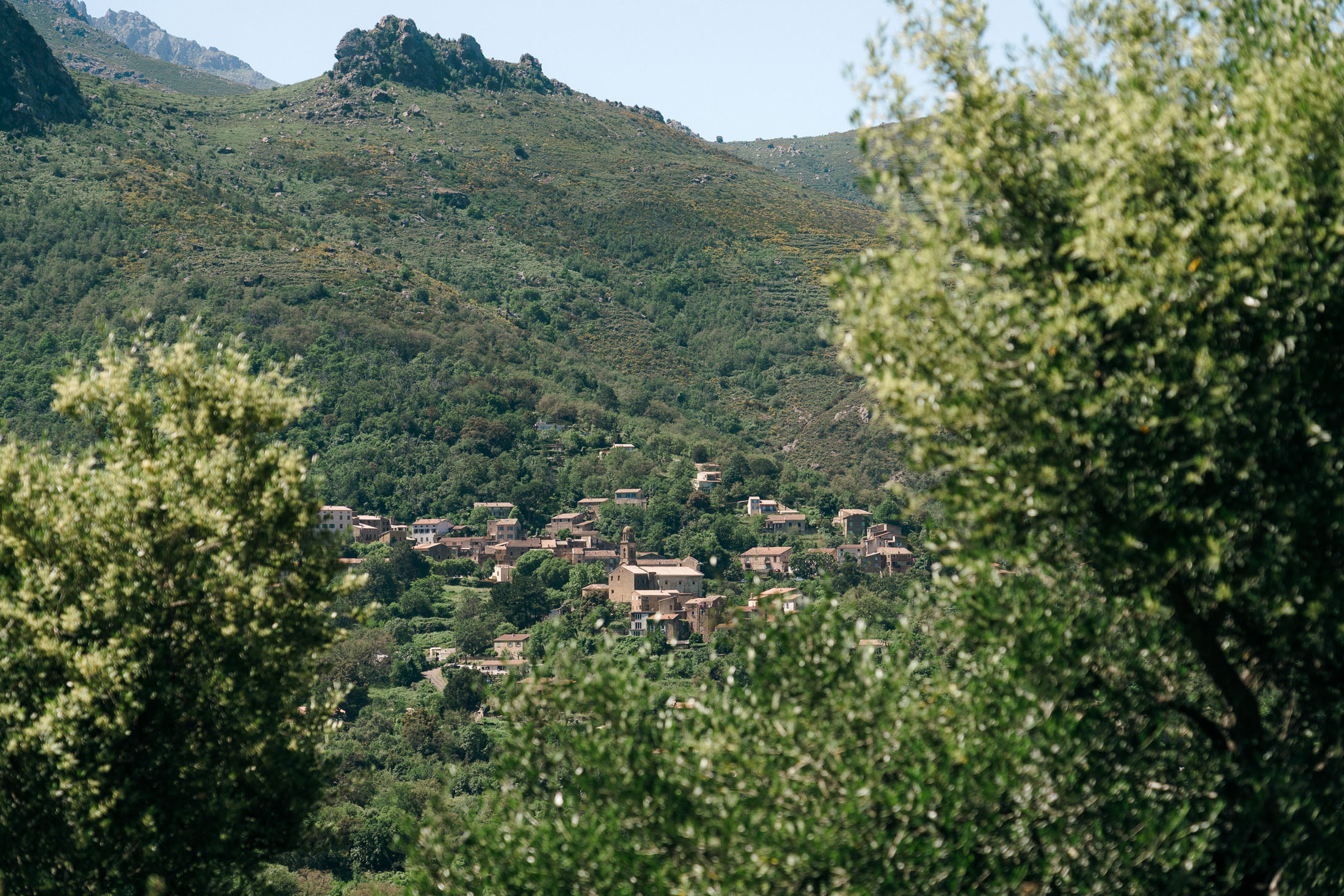 Acciola_paysages-22